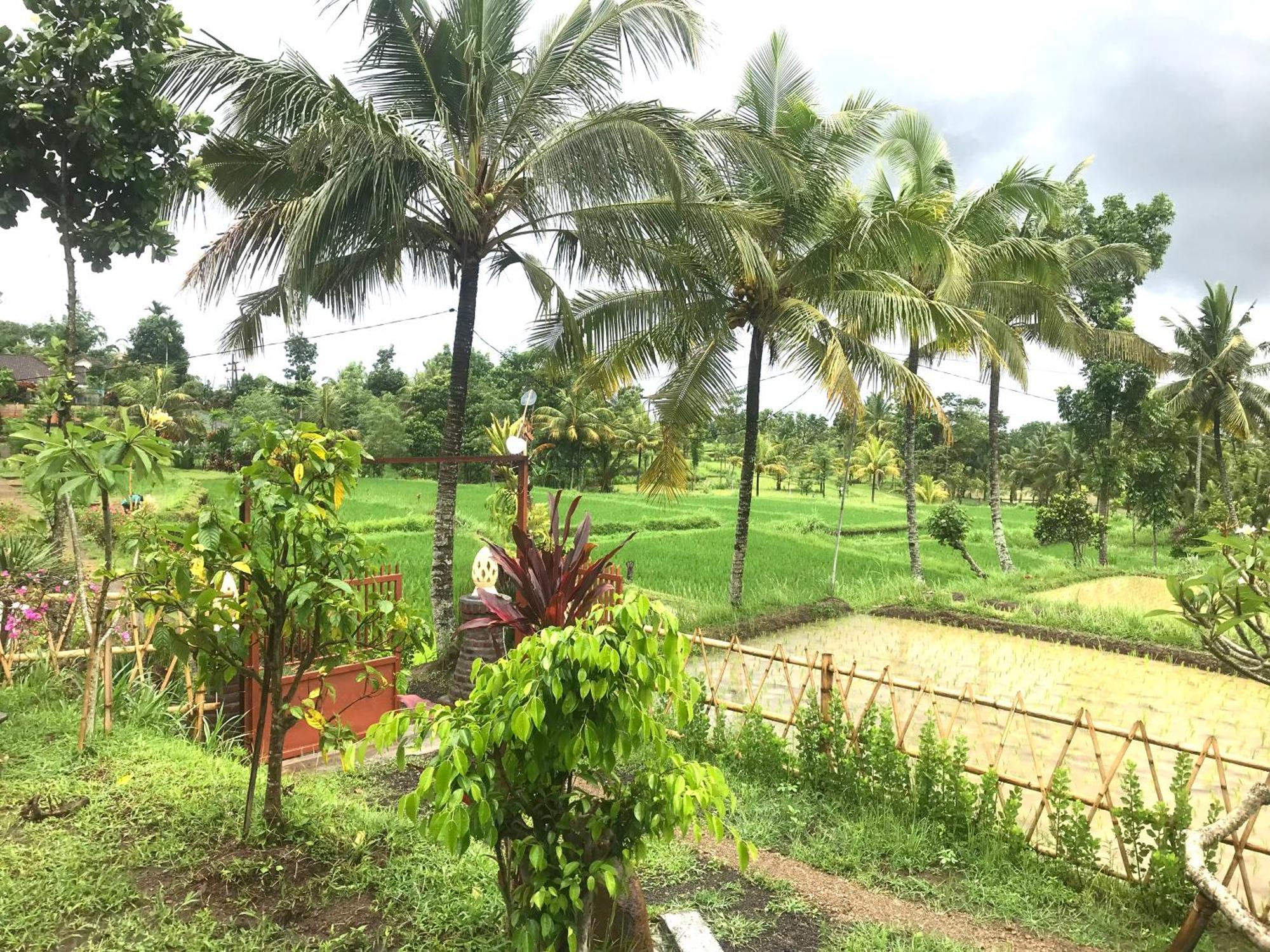 Bello Bungalow Batukliang エクステリア 写真