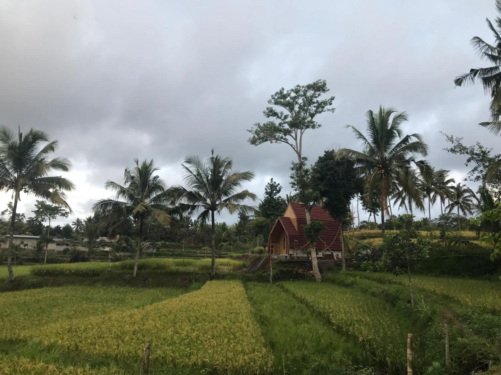 Bello Bungalow Batukliang エクステリア 写真
