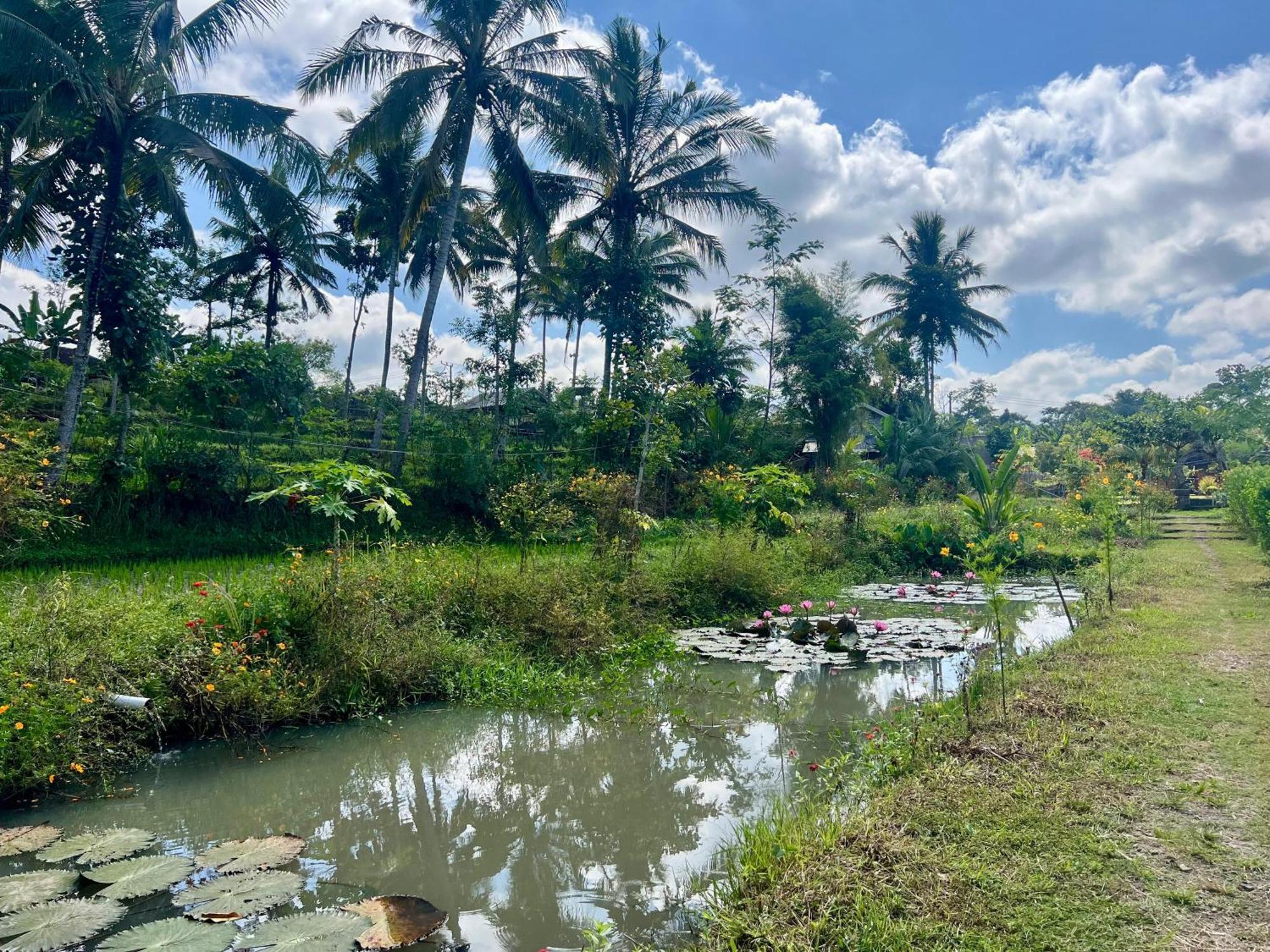 Bello Bungalow Batukliang エクステリア 写真